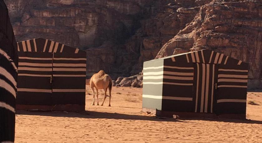 Wadi Rum Desert Heart Camp Exterior foto